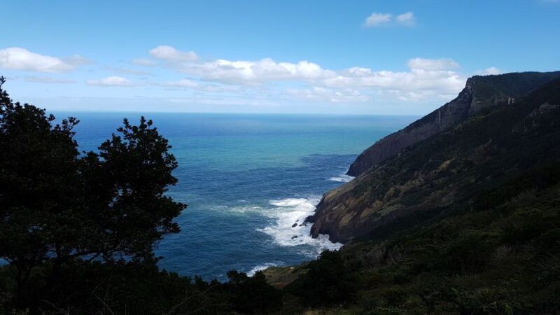 Madeira: Private Vereda do Larano Hike - Who Is This Tour For?