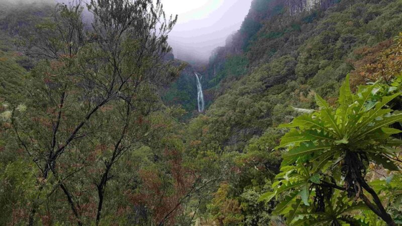 Madeira: Private Walking Tour of Levada das 25 Fontes PR6 - What to Expect During the Tour