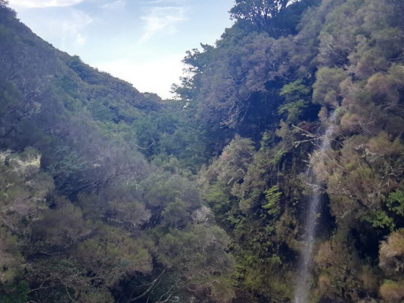 Madeira: Private Walking Tour of Levada das 25 Fontes PR6 - Practical Details and Logistics