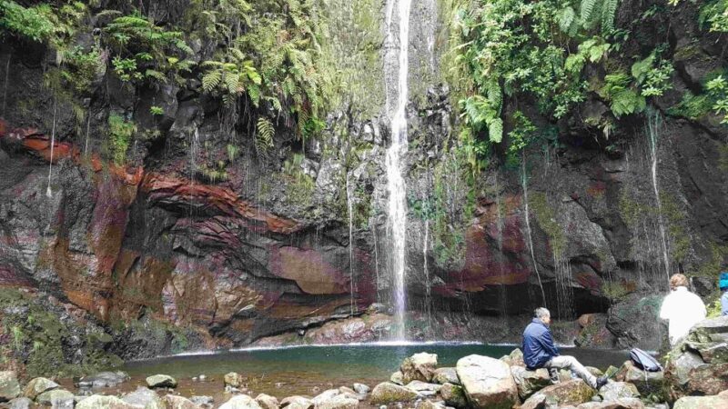 Madeira: Private Walking Tour of Levada das 25 Fontes PR6 - The Value of This Tour