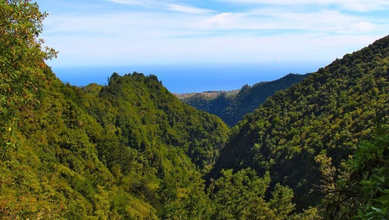 Madeira: Queimadas, Caldeirão Verde and Levada Walk - What to Expect from the Tour