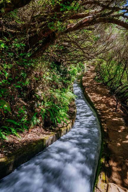 Madeira: Rabaçal Private Guided Walking Tour with Guide - FAQ
