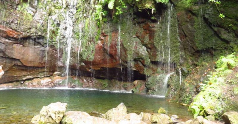 Madeira: Rabaçal, Risco and 25 Fontes Guided Hiking Tour - What the Reviews Say