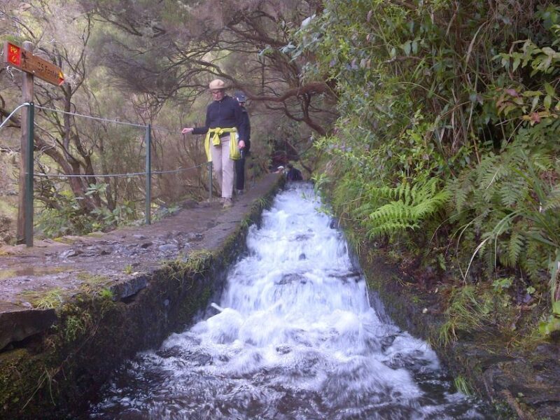 Madeira: Rabaçal Valleys 3-Hour Guided Walk - An Honest Breakdown of the Madeira: Rabaçal Valleys Guided Walk