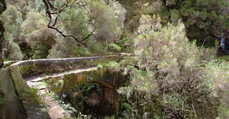 Madeira: Rabaçal Valleys 3-Hour Guided Walk - The Sum Up