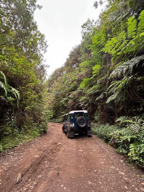 Madeira: Santana; Discover the enchanting East: Duration 7,5h - An In-Depth Look at the Tour