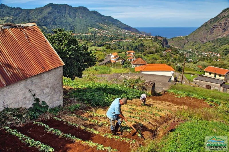 Madeira: Santana Jeep Safari and Balções Levada Walk - Rum and Coastal Wonders