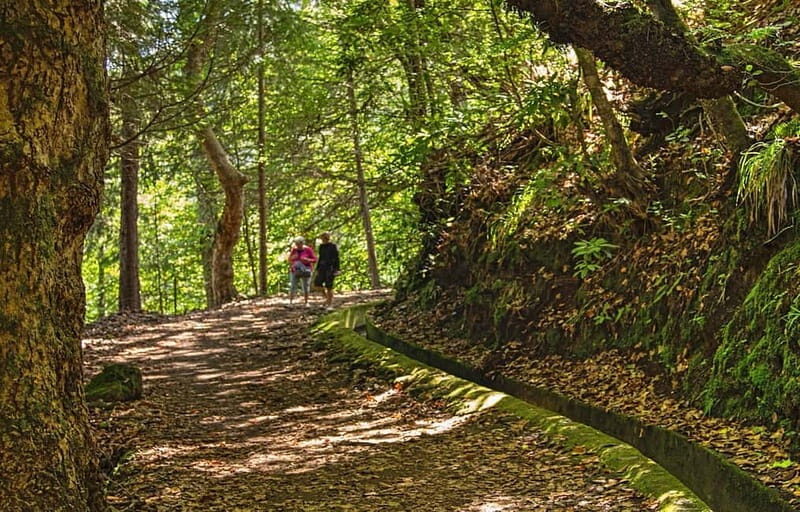 Madeira: Santana Jeep Safari and Balções Levada Walk - What to Expect and What to Bring