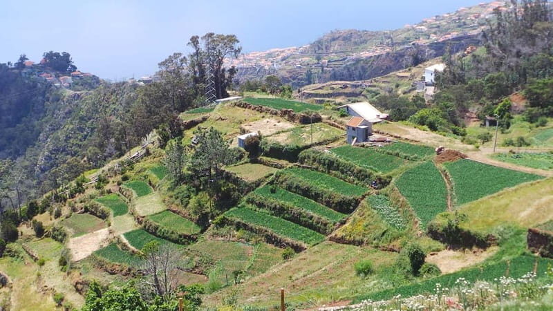 Madeira: Santana Jeep Safari and Balções Levada Walk - Who Will Love This Tour?