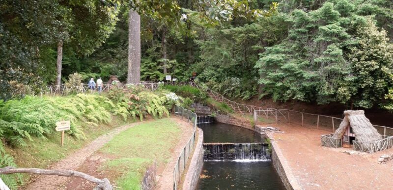 Madeira: Santana Traditional Houses Private Half-Day Tour - Key Points