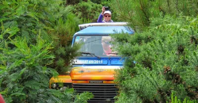 Madeira : Santo de Serra Local Farmers' Market half day trip - The Sum Up