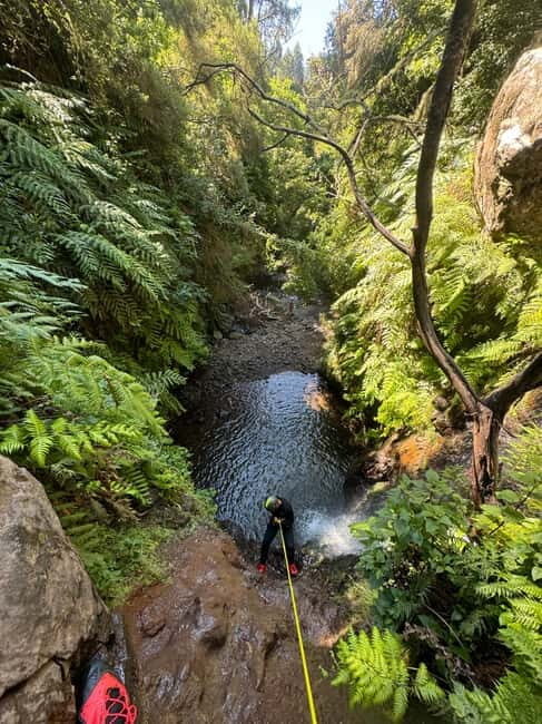 Madeira Short Canyoning For Beginners Rochão Level 1 - The Bottom Line: Is This Canyoning Tour for You?