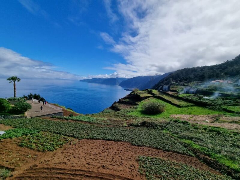 Madeira : SkyWalk, Fanal, Natural Pools 4x4 Jeep Tour - A Closer Look at the Tour Experience