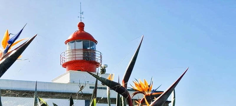 Madeira: South Madeira Private 4x4 Tour with Pickup - The Experience: What You Can Expect