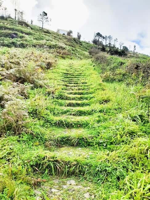 Madeira: South Madeira Private 4x4 Tour with Pickup - Who Is This Tour Best For?