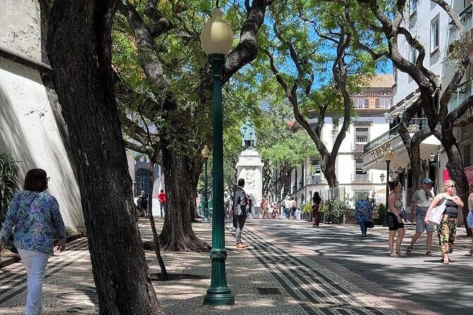 Madeira Special Private Tuk-Tuk City Tour Experience by MadTuk - Frequently Asked Questions