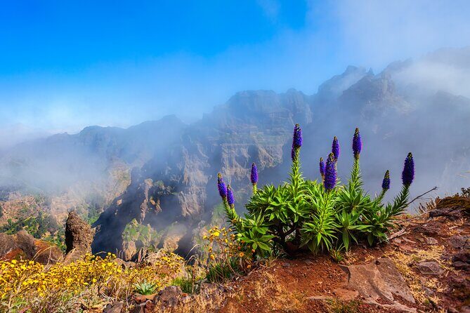 Madeira Stairway to Heaven to Larano Hike Mountain to Sea - Exploring the Itinerary in Detail