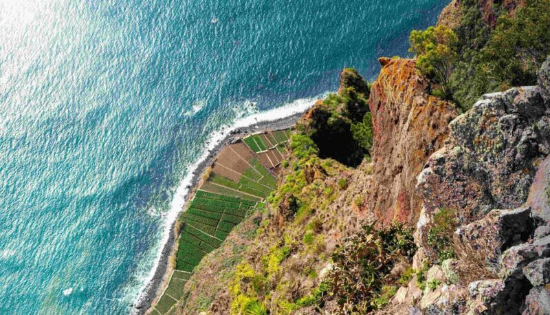 Madeira: Sunny South Side - Cabo Girão, Waterfalls, C. Lobos - The Full Experience: What You Can Expect From This Tour