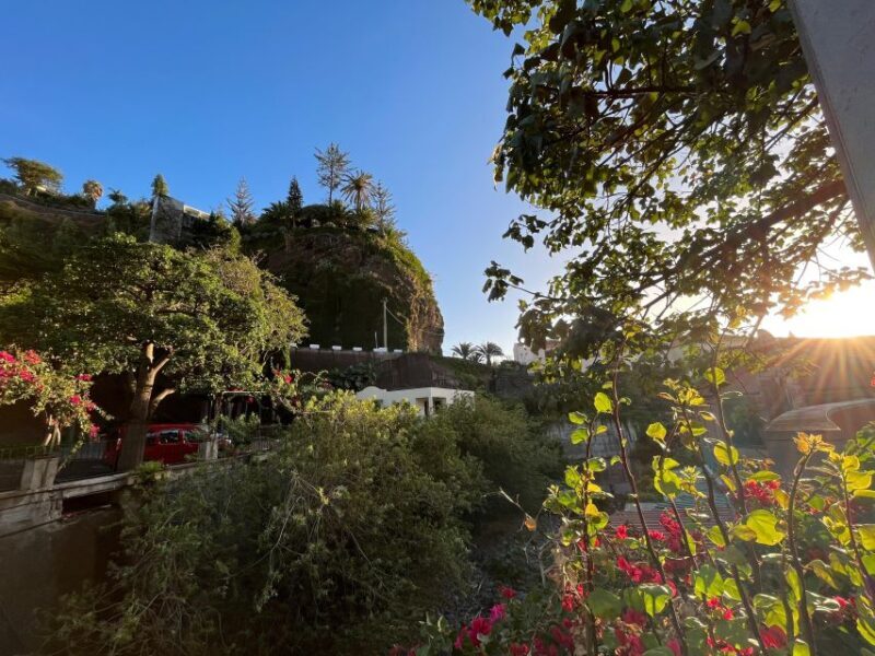 Madeira: Sunny South Side - Cabo Girão, Waterfalls, C. Lobos - Who Is This Tour Best For?