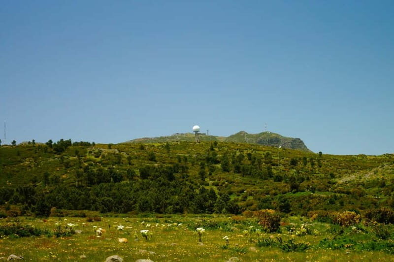 Madeira : Sunrise at Pico do Arieiro + 2 Hikes - PR1 and PR3 - Who Is This Tour Best For?