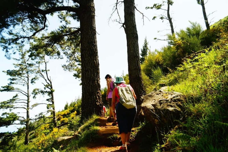 Madeira : Sunrise at Pico do Arieiro + 2 Hikes - PR1 and PR3 - Final Thoughts: Is It Worth It?