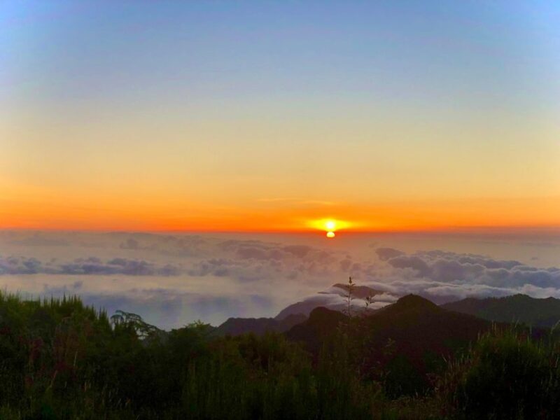 Madeira: Sunrise at Pico do Arieiro & Hike Larano trail - FAQ