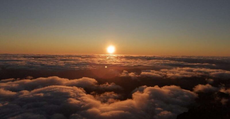 Madeira: Sunrise Half-Day Jeep Tour - What to Expect on the Sunrise Jeep Tour