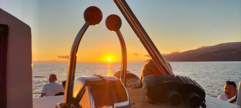 Madeira: Sunset Dinner Cruise - Water Activities: Swimming, Snorkeling, and Diving