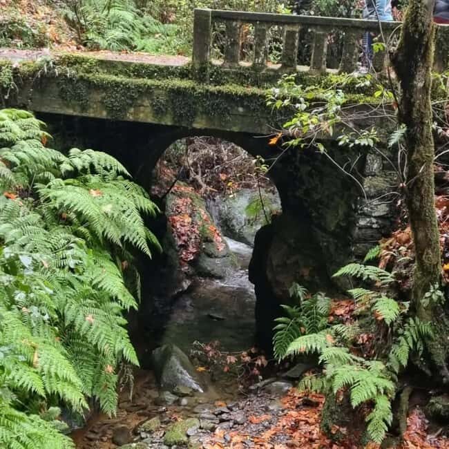 Madeira: Surreal East Experience - Final Thoughts