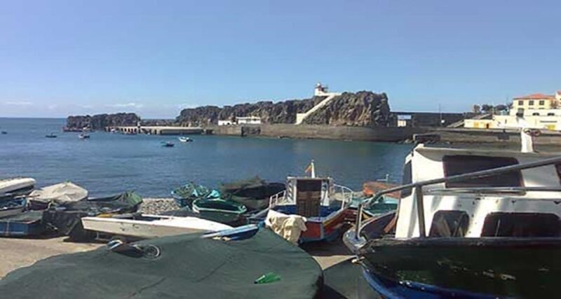 Madeira: Vineyard Tour w/ Wine Tasting & Skywalk - What This Tour Offers