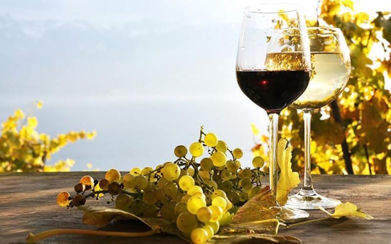 Madeira: Vineyard Tour w/ Wine Tasting & Skywalk - FAQ