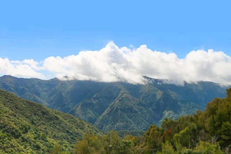 Madeira: Walk in Fanal and Seixal Beach Guided Tour - Exploring Madeira’s Natural Wonders: What You Can Expect