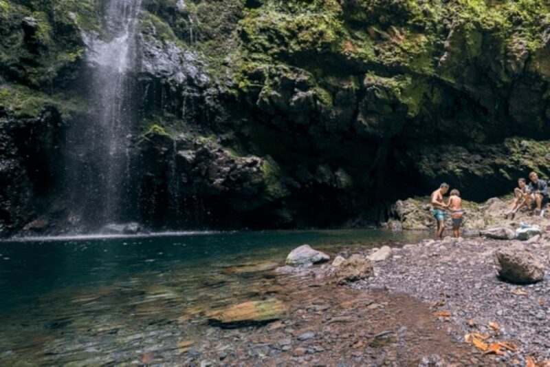 Madeira: Walking Tour - Queimadas / Caldeirão Verde - Exploring the Experience — What You Can Expect