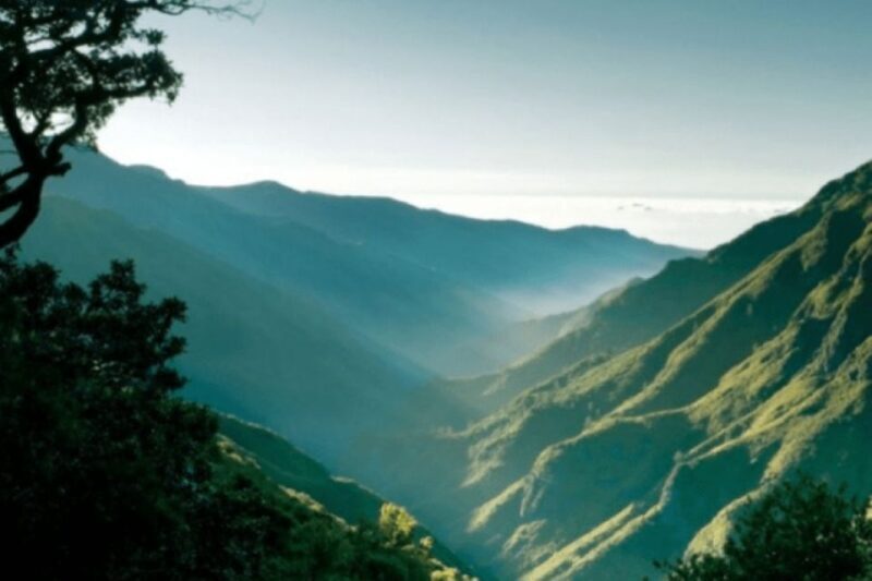 Madeira : Walking Tour-Rabaçal /25 Fontes - What to Expect from the Rabaçal / 25 Fontes Tour