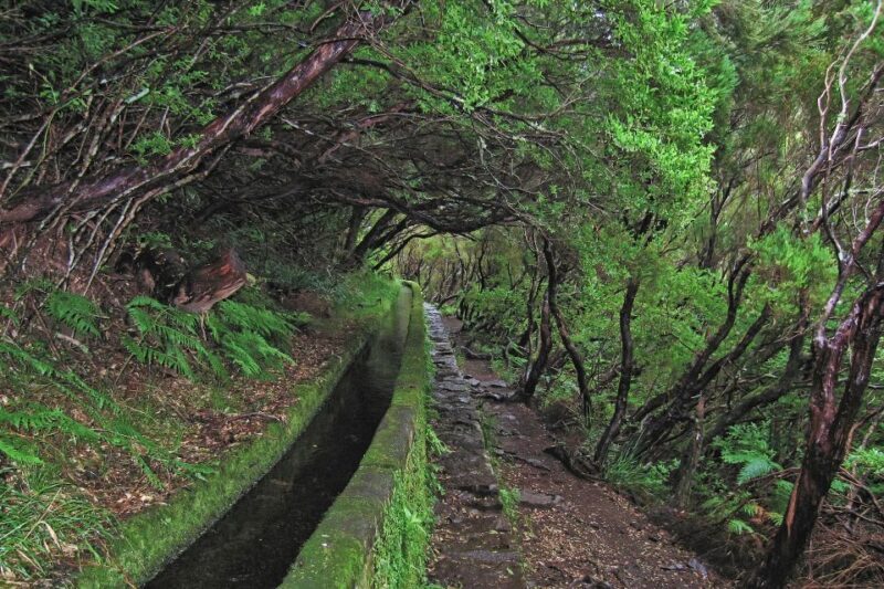 Madeira Walks - Rabaçal and the 25 Fountains - Who Would Enjoy This Tour?