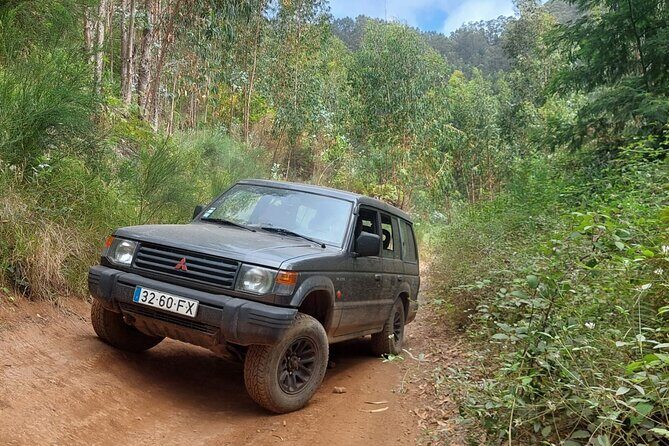 Madeira West 4x4 Jeep Safari: Wild Coast, Lava Pools & Fanal - The Experience You’re Getting