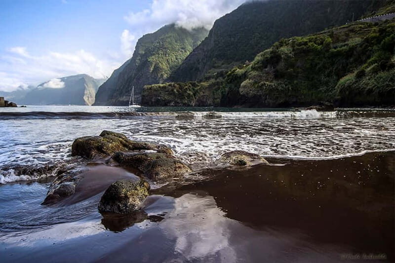 Madeira West Island Full-Day Tour with Fanal Forest - Key Points