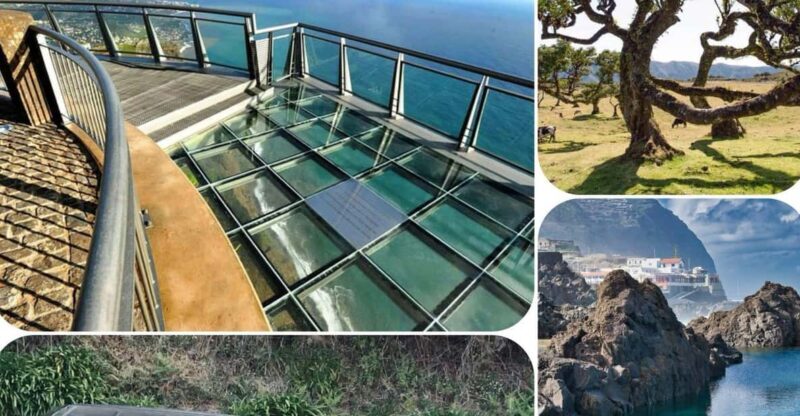 Madeira: West Tour With Guide Fanal Forest SykWalkExperience - What to Expect from Madeiras West Tour