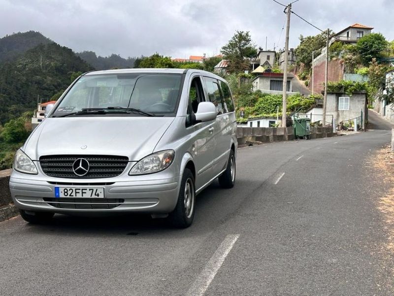 Madeira: Western Madeira Guided Trip & Fanal Mystic Forest - Fanal Mystic Forest: Laurissilva UNESCO under the fog