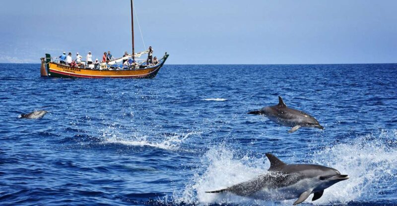 Madeira: Whale Watching Excursion in a Traditional Vessel - Setting Out on the Madeira Whale Watching Tour