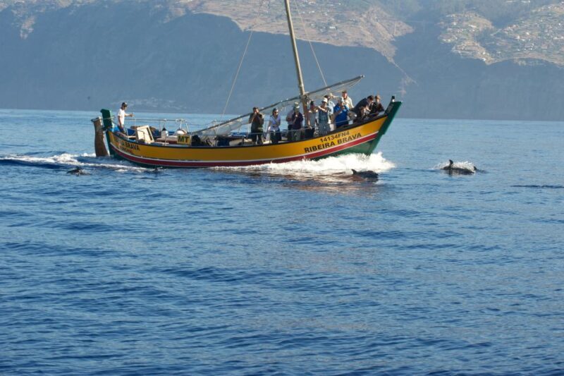 Madeira: Whale Watching Excursion in a Traditional Vessel - Who Should Consider This Tour?