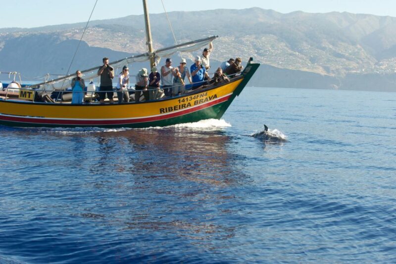 Madeira: Whale Watching Excursion in a Traditional Vessel - The Sum Up