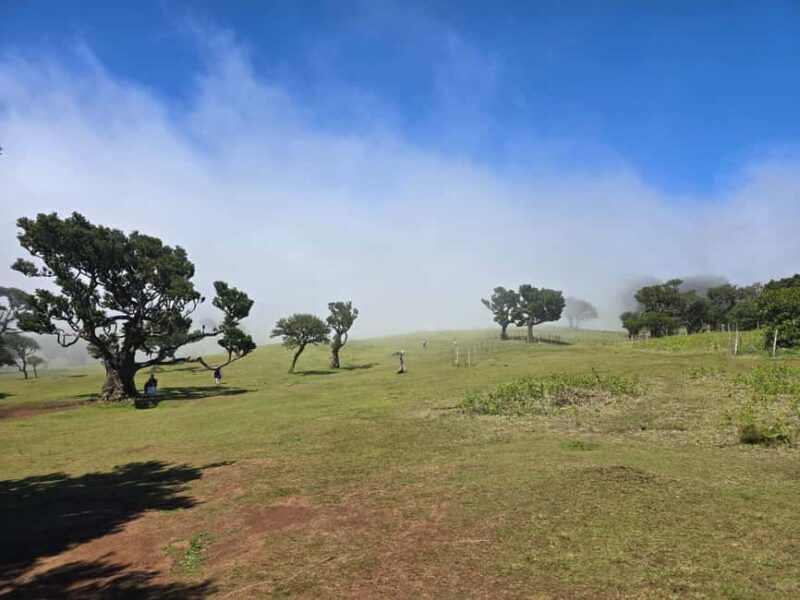 Madeira: Where the Sea Meets the Sky: Tour of the West - The Practicalities: What You Need to Know