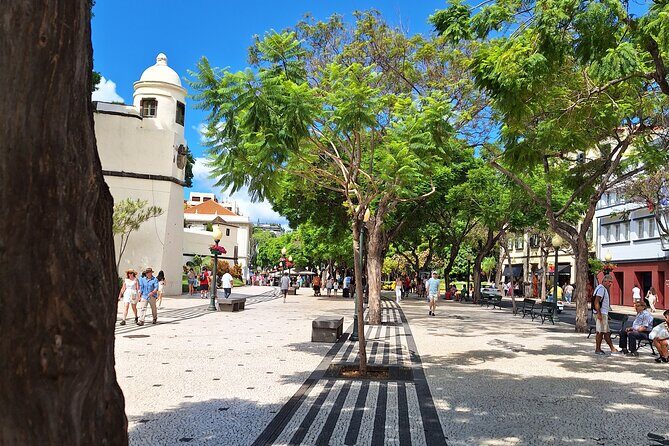 Madeira Wine Tasting and Funchal City tour - Final Thoughts