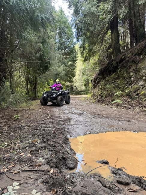 Madeira:Private Mountain Quad AdventureExplore Wild Madeira - Introduction to the Madeira Quad Adventure