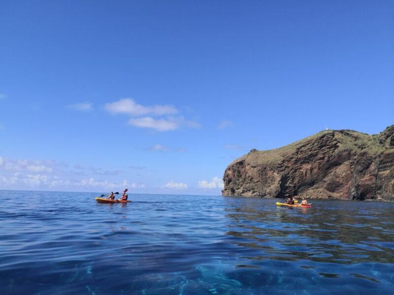Madeiras Marine Reserve: Kayak & Snorkelling Trip - The Value for Money