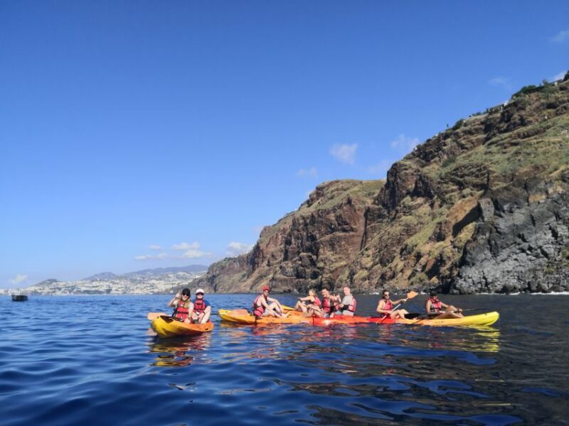 Madeiras Marine Reserve: Kayak & Snorkelling Trip - Who Should Consider This Tour?
