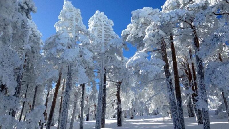 Madrid: 4-Hour Snowshoe Hiking - Key Points