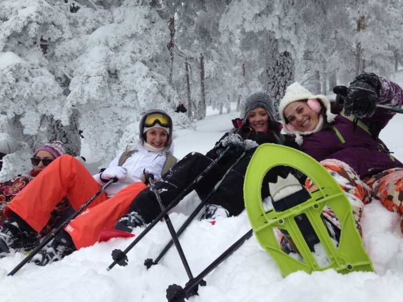 Madrid: 4-Hour Snowshoe Hiking - Discovering the Snowy Sierra de Guadarrama