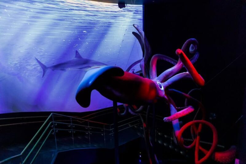 Madrid: Atlantis Aquarium Entry Ticket - What You Can Expect from the Atlantis Aquarium Madrid